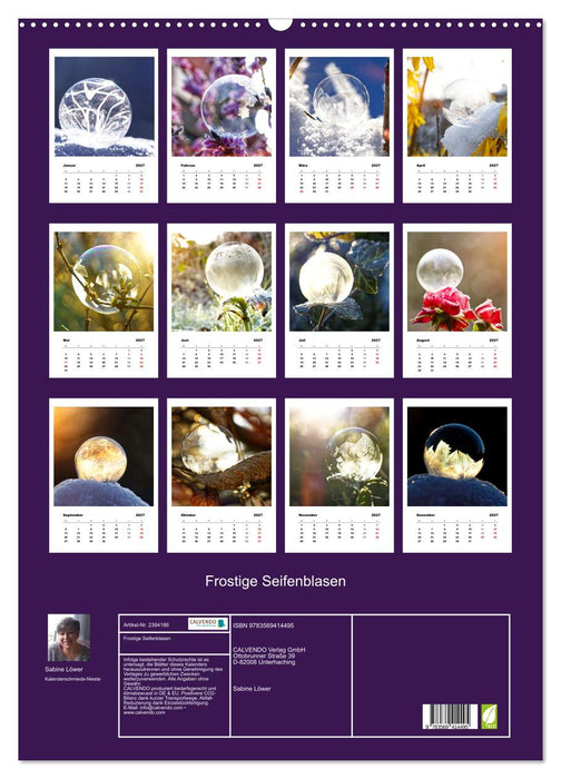 Frostige Seifenblasen (CALVENDO Wandkalender 2027)