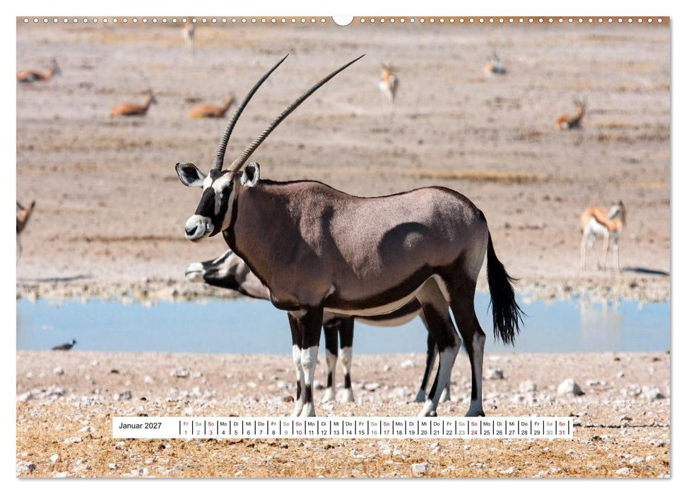 Namibia - Wilde Schönheit Afrikas (CALVENDO Premium Wandkalender 2027)
