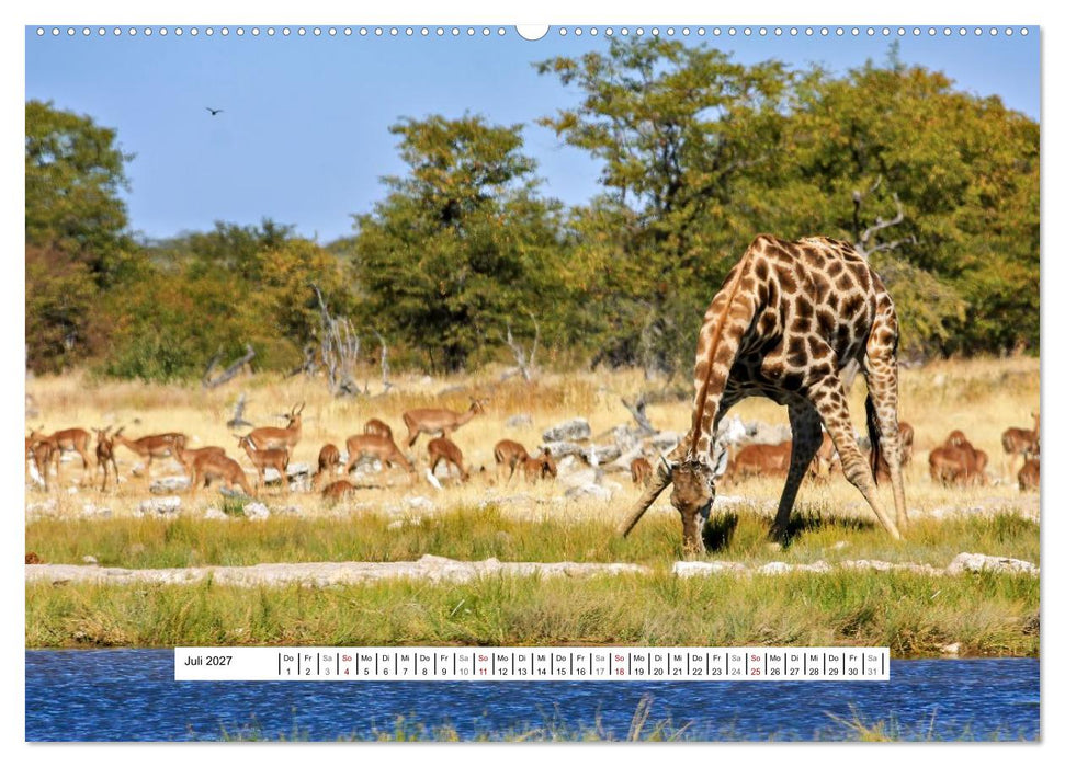 Namibia - Wilde Schönheit Afrikas (CALVENDO Premium Wandkalender 2027)