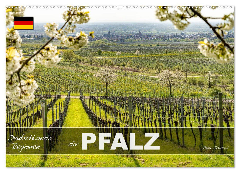 Deutschlands Regionen - die Pfalz (CALVENDO Wandkalender 2027)
