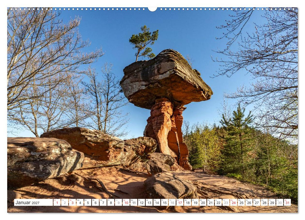 Deutschlands Regionen - die Pfalz (CALVENDO Wandkalender 2027)