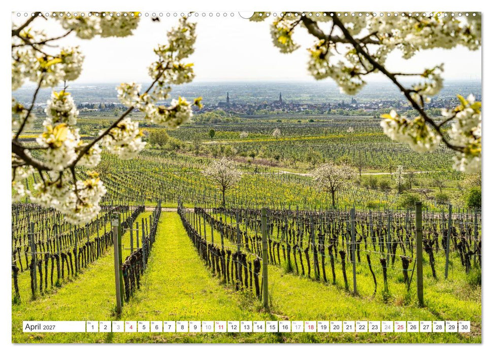 Deutschlands Regionen - die Pfalz (CALVENDO Wandkalender 2027)