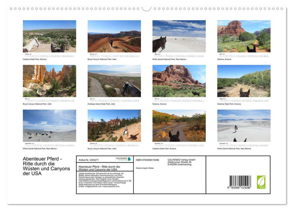 Abenteuer Pferd - Ritte durch die Wüsten und Canyons der USA (CALVENDO Premium Wandkalender 2027)