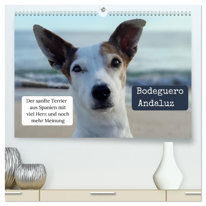 Ratonero Bodeguero Andaluz (CALVENDO Premium Wandkalender 2027)