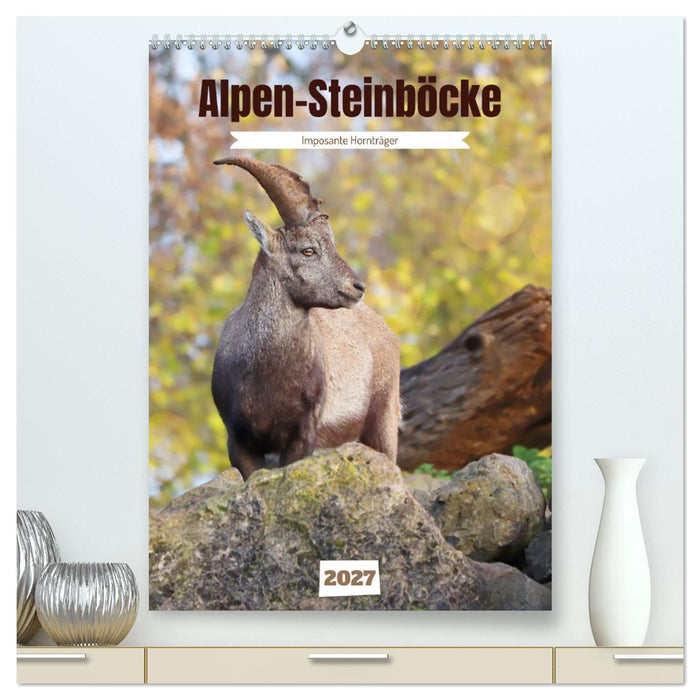 Alpen-Steinböcke, imposante Hornträger (CALVENDO Premium Wandkalender 2027)
