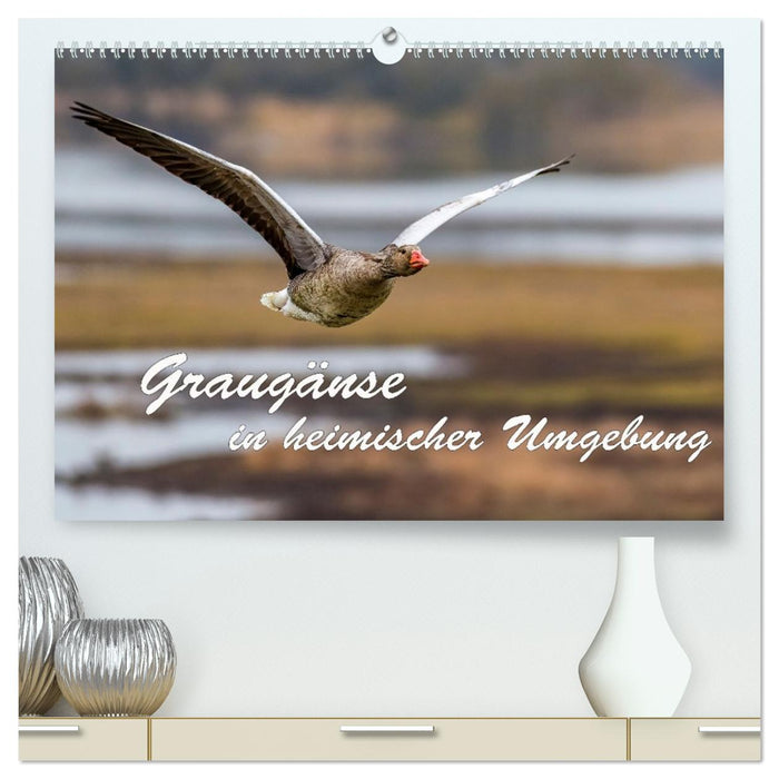 Graugänse in heimischer Umgebung (CALVENDO Premium Wandkalender 2027)
