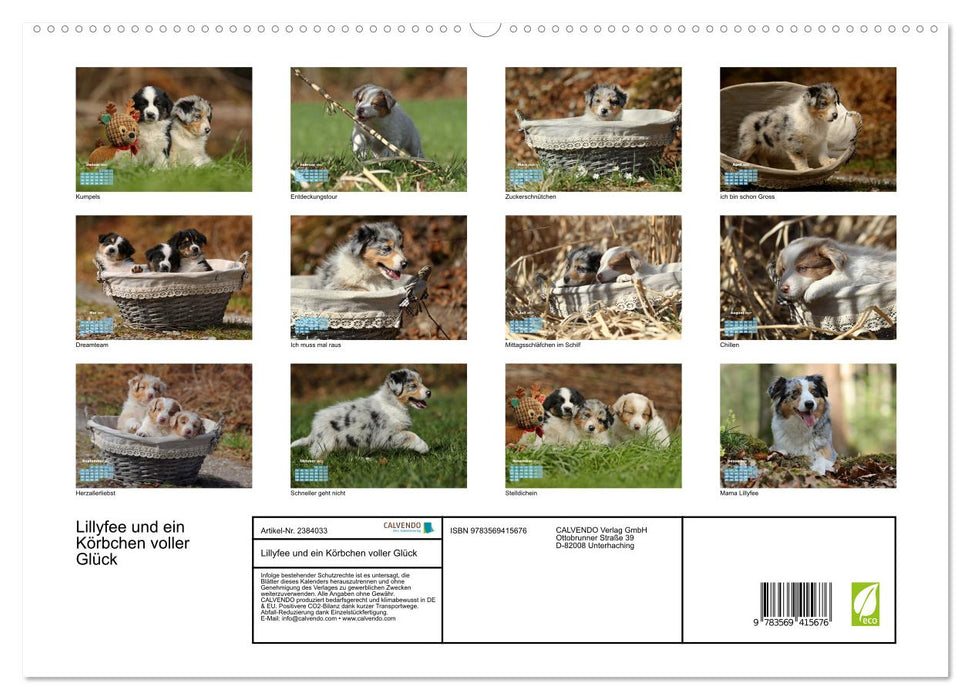 Lillyfee und ein Körbchen voller Glück (CALVENDO Premium Wandkalender 2027)