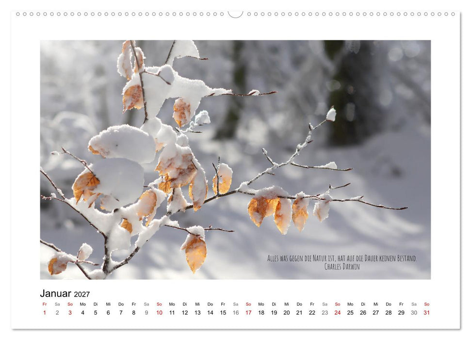 Blätterreigen (CALVENDO Wandkalender 2027)