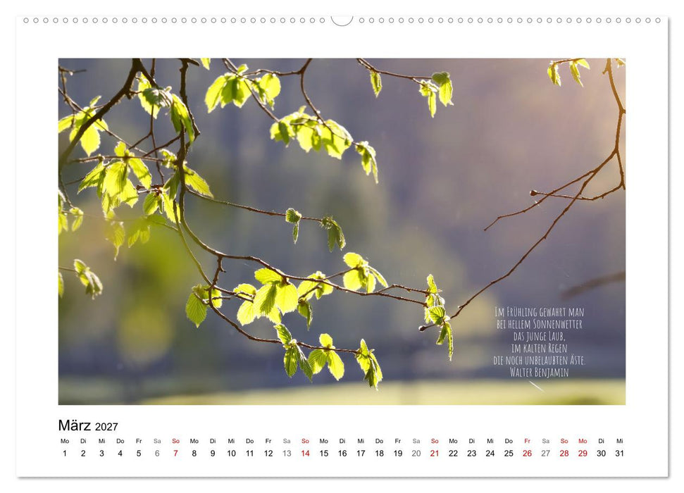 Blätterreigen (CALVENDO Wandkalender 2027)