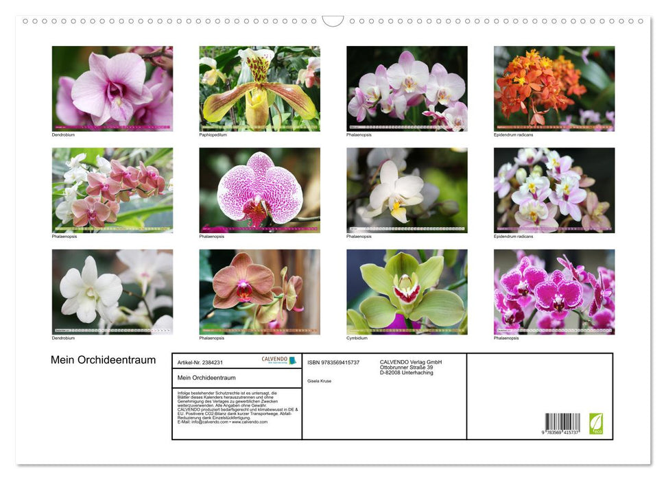 Mein Orchideentraum (CALVENDO Wandkalender 2027)