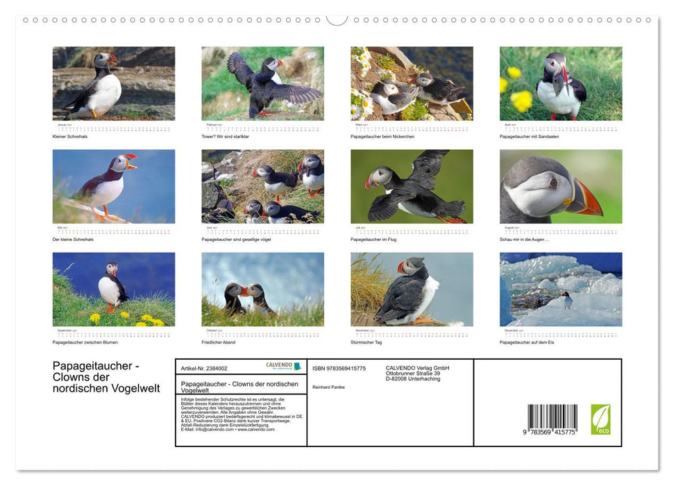 Papageitaucher - Clowns der nordischen Vogelwelt (CALVENDO Premium Wandkalender 2027)
