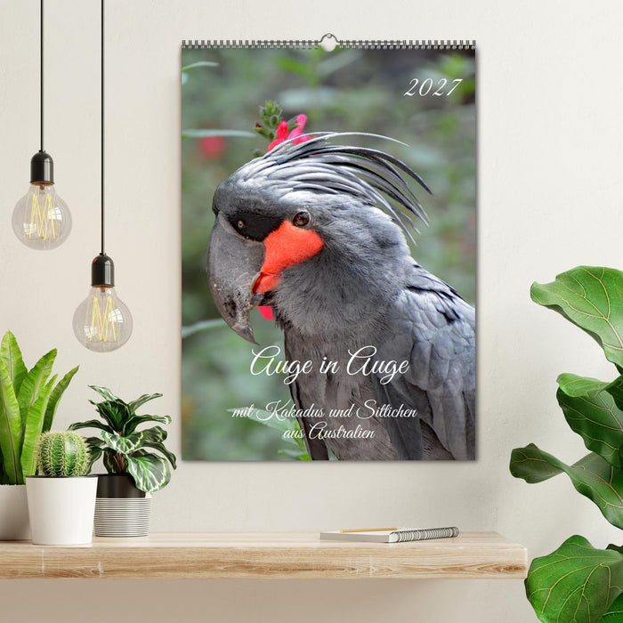 Auge in Auge mit Kakadus und Sittichen aus Australien (CALVENDO Wandkalender 2027)
