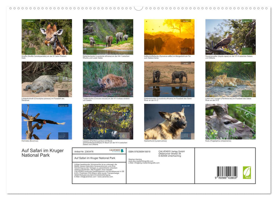 Auf Safari im Kruger National Park (CALVENDO Premium Wandkalender 2027)