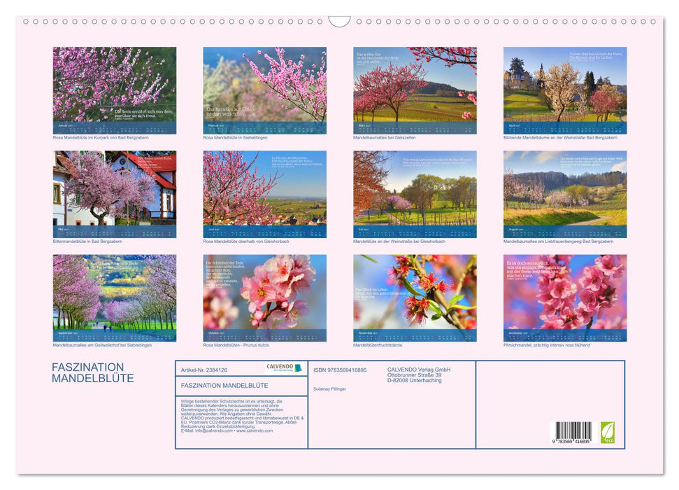 FASZINATION MANDELBLÜTE (CALVENDO Wandkalender 2027)