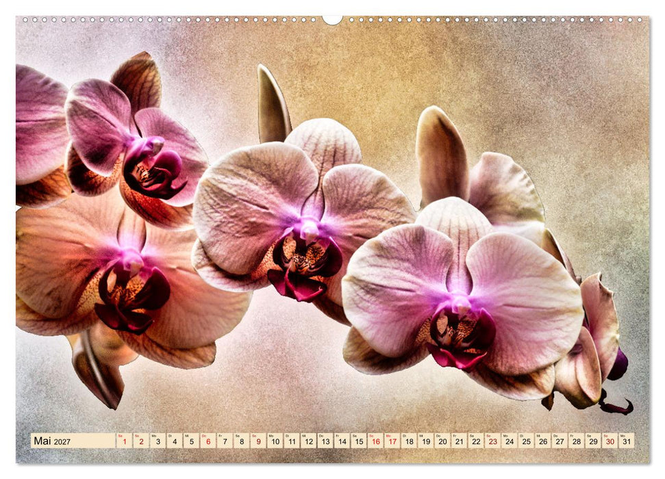 Orchideen im Retro-Stil (CALVENDO Wandkalender 2027)