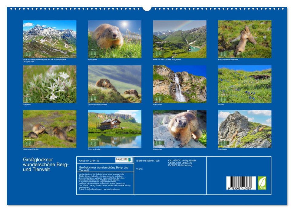 Großglockner wunderschöne Berg- und Tierwelt (CALVENDO Premium Wandkalender 2027)