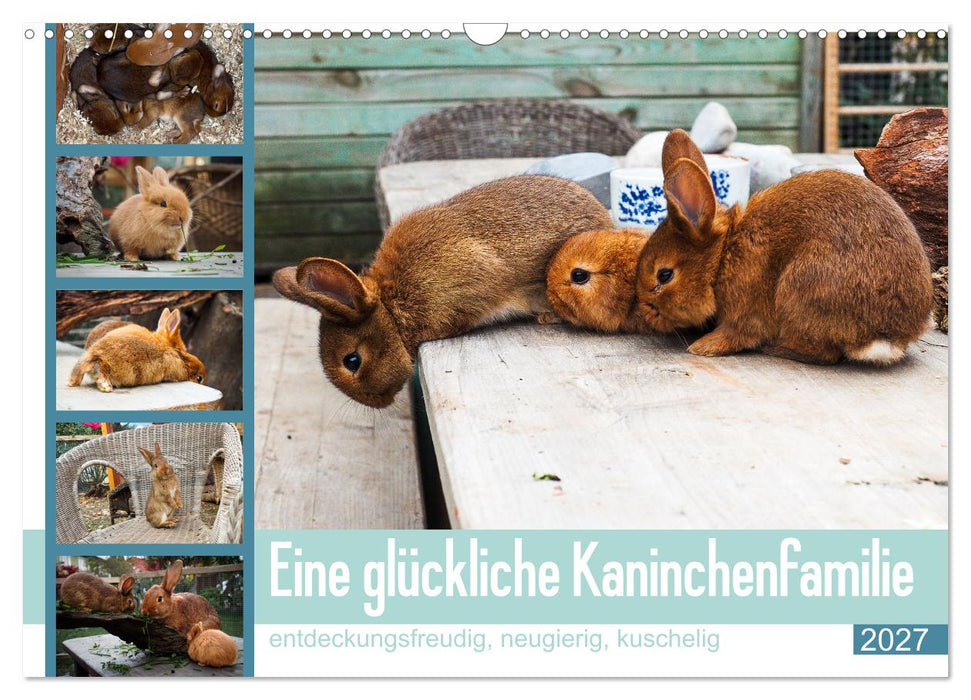 Eine glückliche Kaninchenfamilie (CALVENDO Wandkalender 2027)