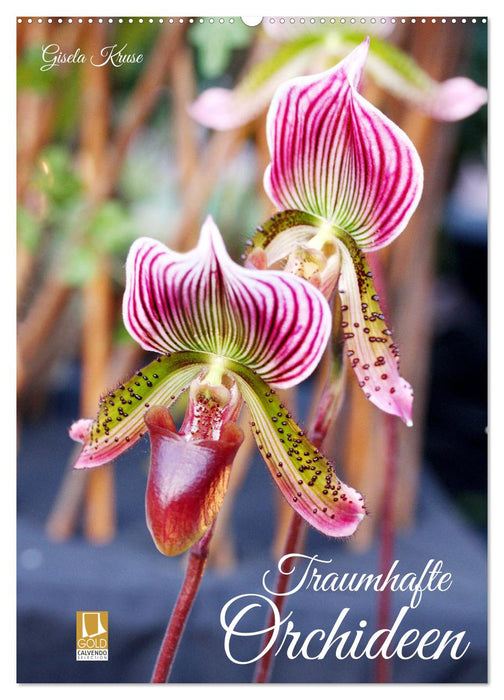 Traumhafte Orchideen (CALVENDO Wandkalender 2027)