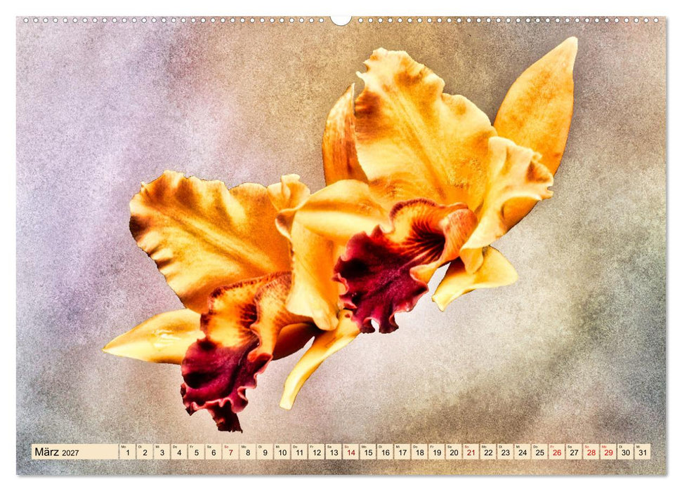 Orchideen im Retro-Stil (CALVENDO Premium Wandkalender 2027)