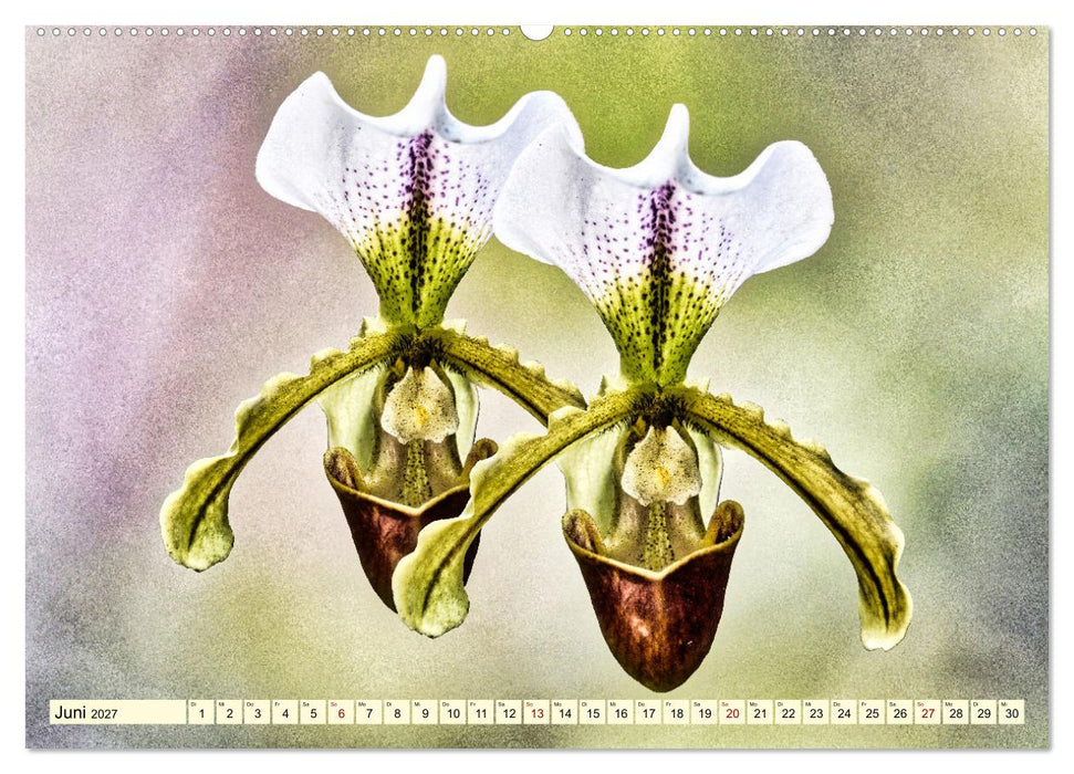 Orchideen im Retro-Stil (CALVENDO Premium Wandkalender 2027)