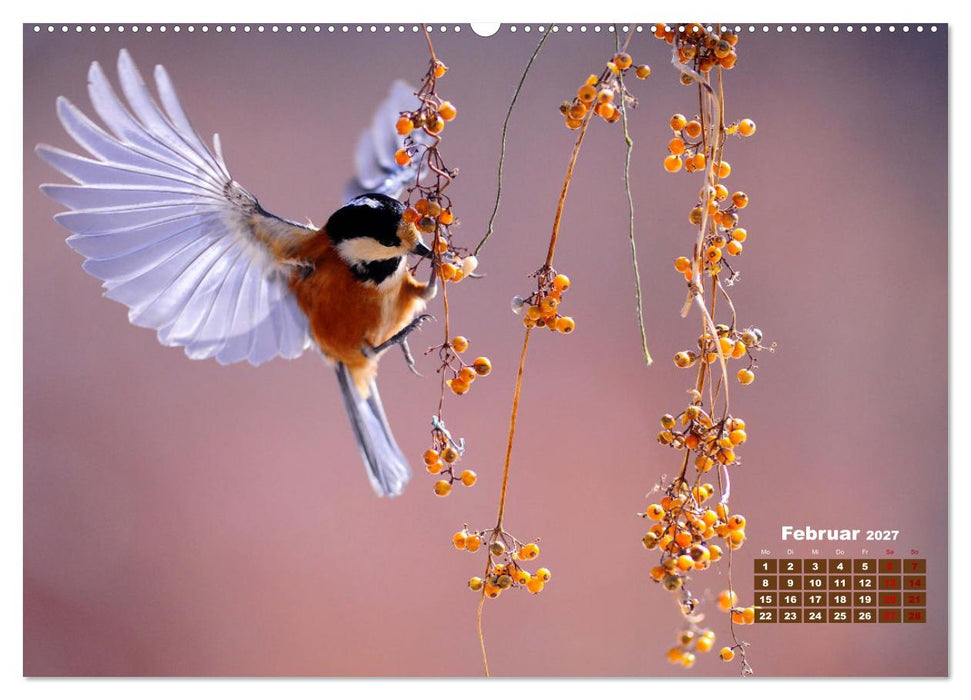 Tiere in freier Wildbahn by VogtArt (CALVENDO Premium Wandkalender 2027)