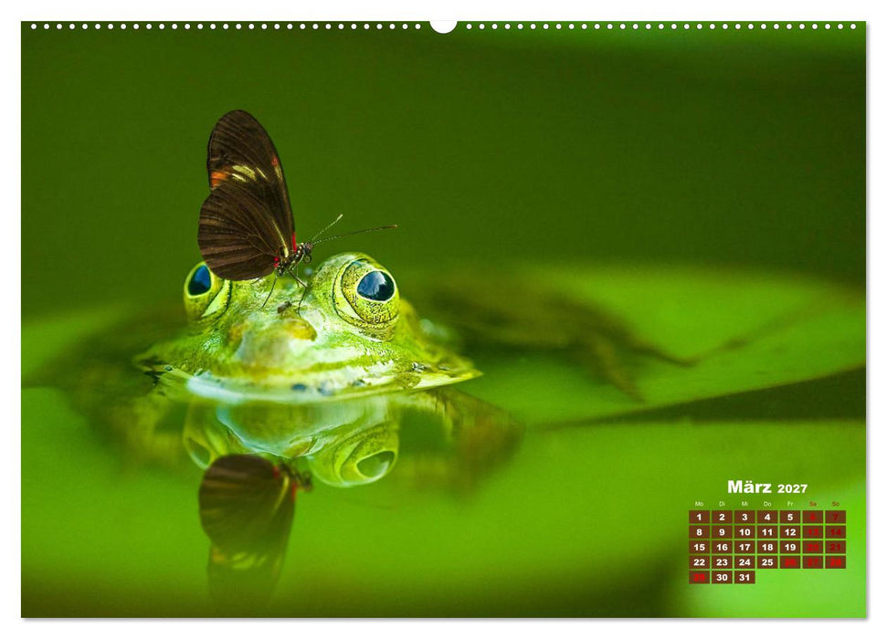 Tiere in freier Wildbahn by VogtArt (CALVENDO Premium Wandkalender 2027)