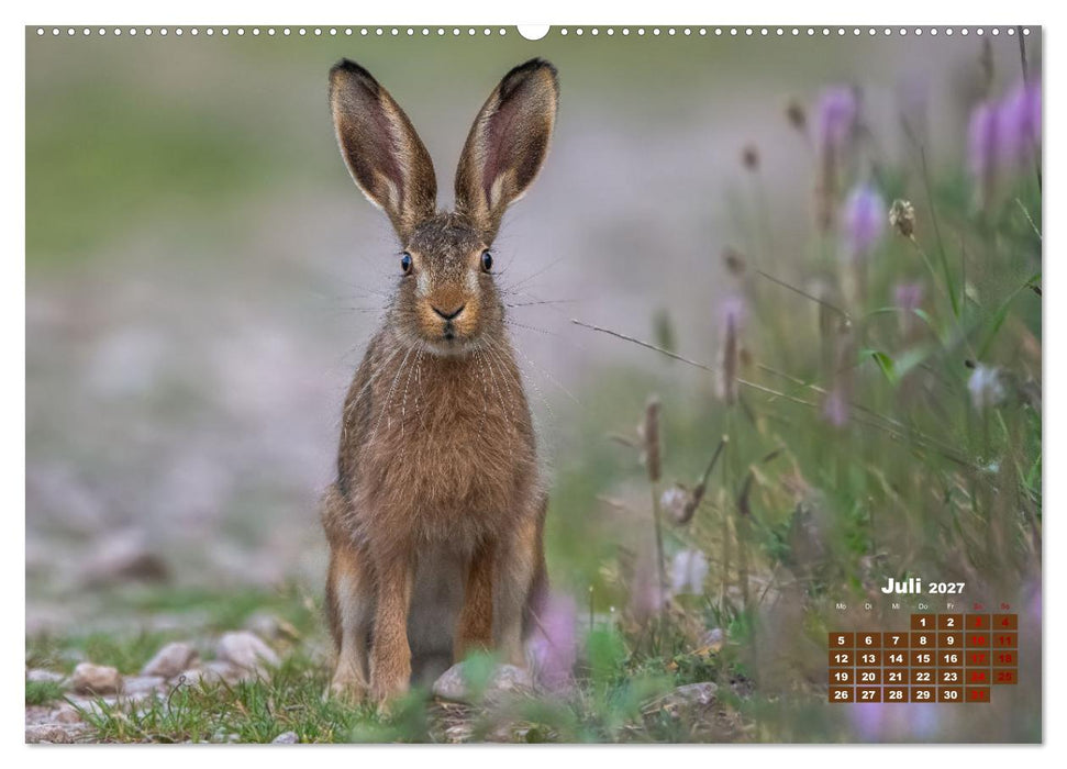 Tiere in freier Wildbahn by VogtArt (CALVENDO Premium Wandkalender 2027)