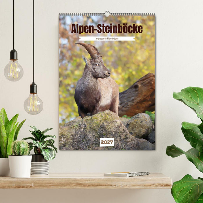 Alpen-Steinböcke, imposante Hornträger (CALVENDO Wandkalender 2027)