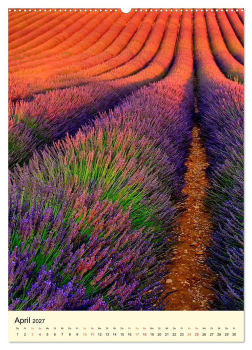 Provence Lavendel Paradies (CALVENDO Premium Wandkalender 2027)