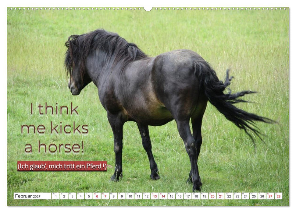 DENGLISCH gesagt... (CALVENDO Premium Wandkalender 2027)
