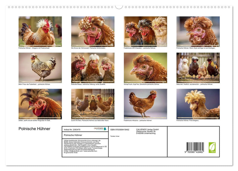 Polnische Hühner (CALVENDO Premium Wandkalender 2027)