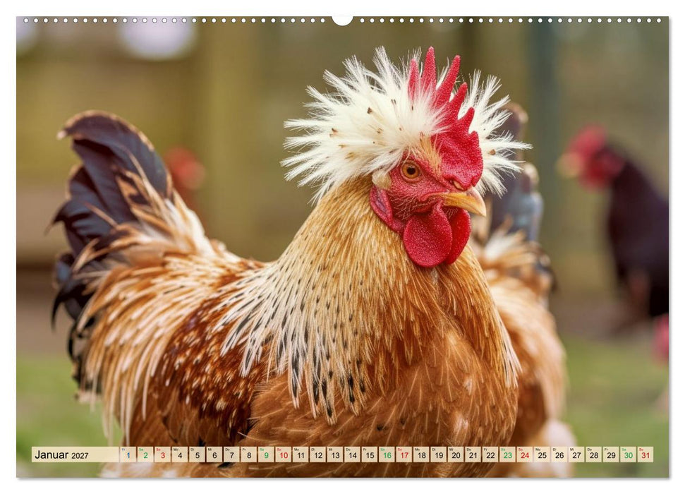 Polnische Hühner (CALVENDO Premium Wandkalender 2027)