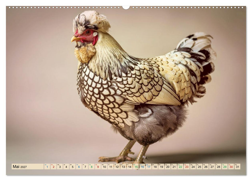 Polnische Hühner (CALVENDO Premium Wandkalender 2027)