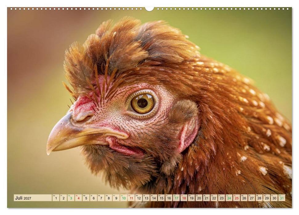 Polnische Hühner (CALVENDO Premium Wandkalender 2027)