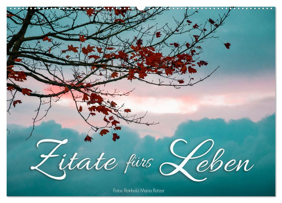 Zitate fürs Leben (CALVENDO Wandkalender 2027)