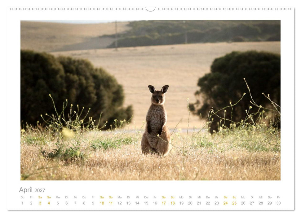 Ein Lächeln für die Tierwelt (CALVENDO Premium Wandkalender 2027)