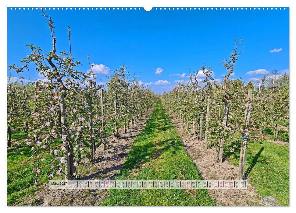 Altes Land im Frühling - Mit dem Fahrrad unterwegs (CALVENDO Premium Wandkalender 2027)