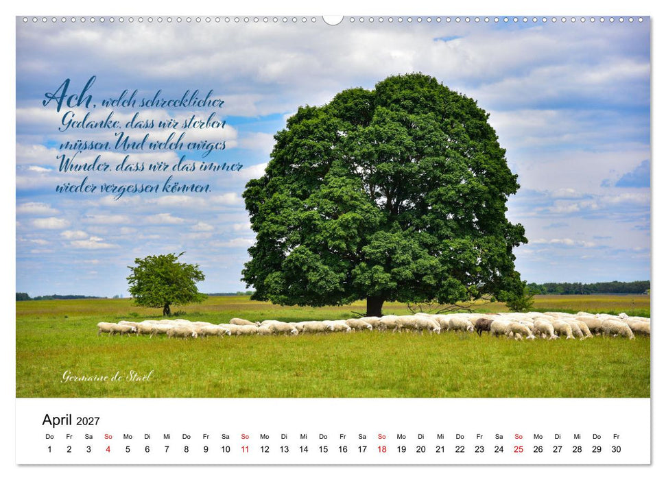 Zitate fürs Leben (CALVENDO Premium Wandkalender 2027)