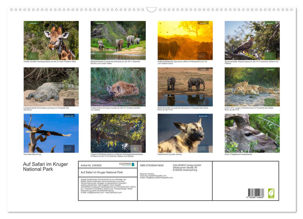 Auf Safari im Kruger National Park (CALVENDO Wandkalender 2027)