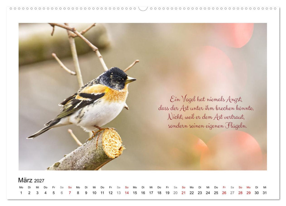 Vögel und geflügelte Worte (CALVENDO Premium Wandkalender 2027)