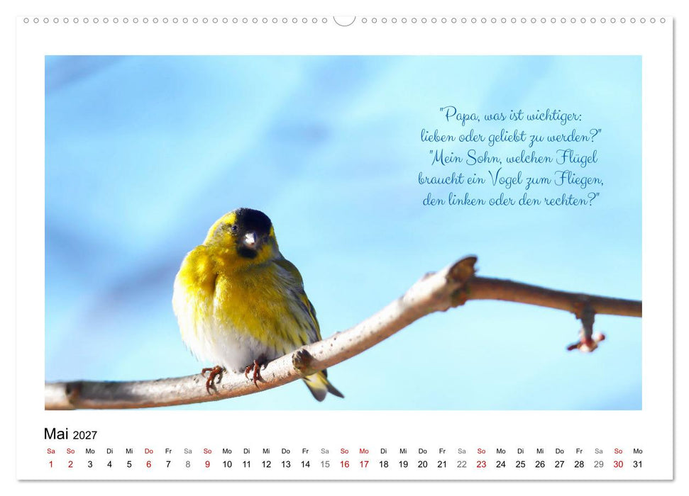Vögel und geflügelte Worte (CALVENDO Premium Wandkalender 2027)