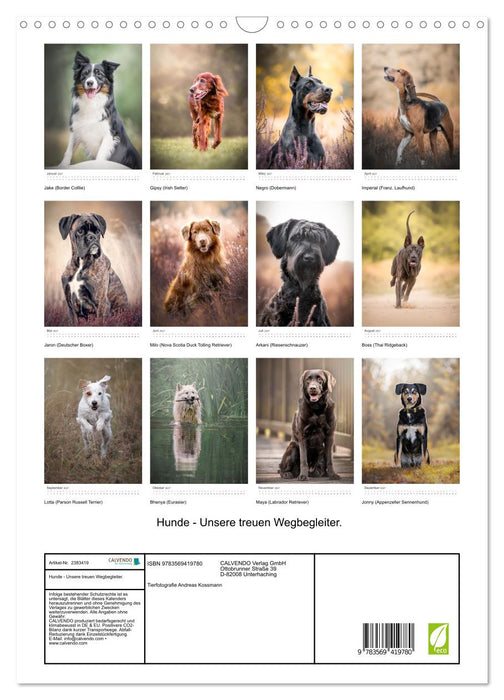 Hunde - Unsere treuen Wegbegleiter. (CALVENDO Wandkalender 2027)