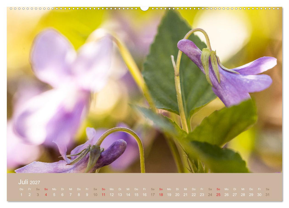 Fantastischer Frühling (CALVENDO Premium Wandkalender 2027)