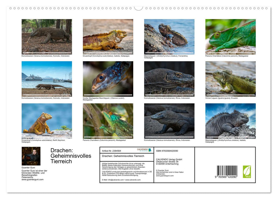 Drachen: Geheimnisvolles Tierreich (CALVENDO Premium Wandkalender 2027)