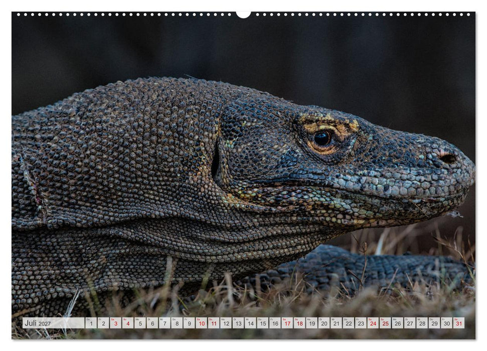 Drachen: Geheimnisvolles Tierreich (CALVENDO Premium Wandkalender 2027)