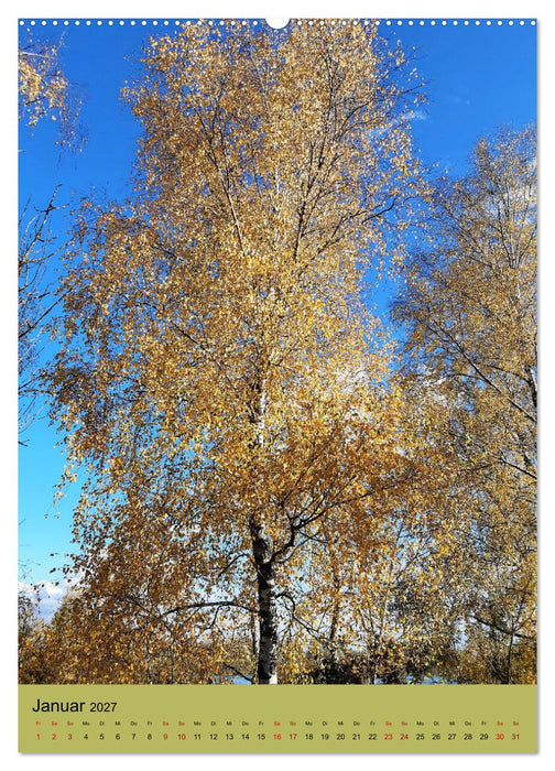 Momente des Herbstes (CALVENDO Premium Wandkalender 2027)