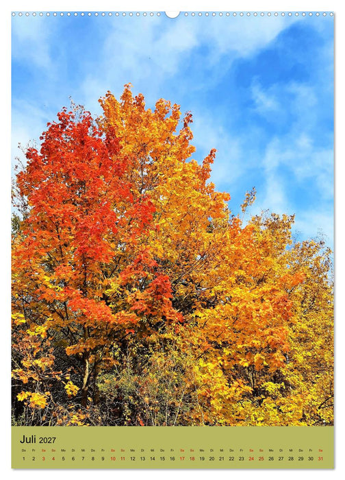 Momente des Herbstes (CALVENDO Premium Wandkalender 2027)