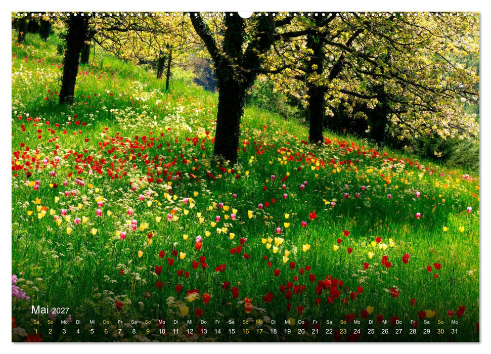 Traum Momente (CALVENDO Wandkalender 2027)