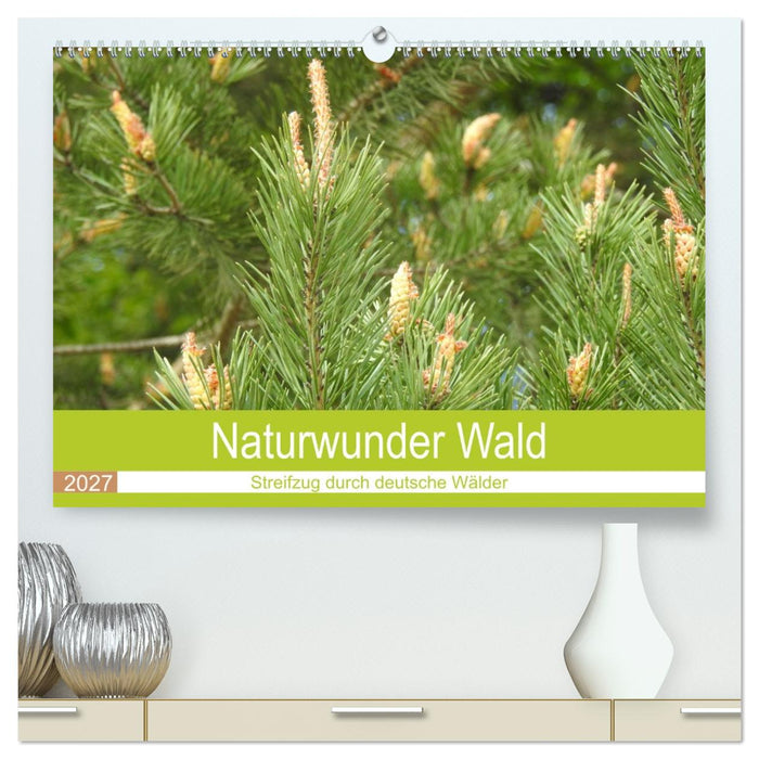 Naturwunder Wald (CALVENDO Premium Wandkalender 2027)