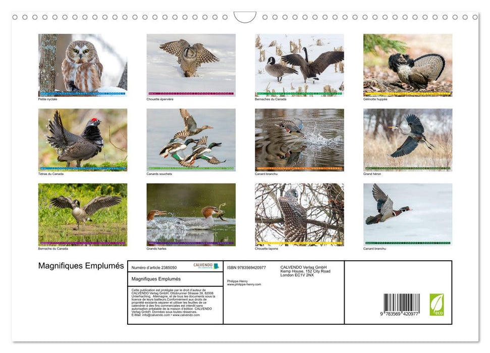 Magnifiques Emplumés (CALVENDO Calendrier mensuel 2027)